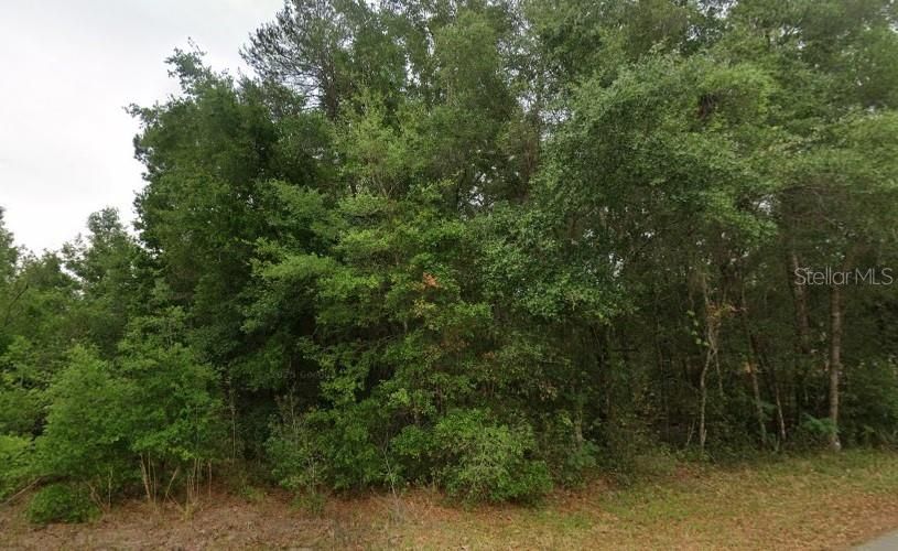 For Sale: $30,000 (0.23 acres)