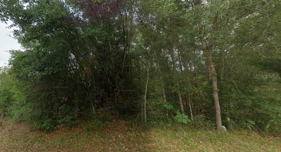 For Sale: $30,000 (0.23 acres)