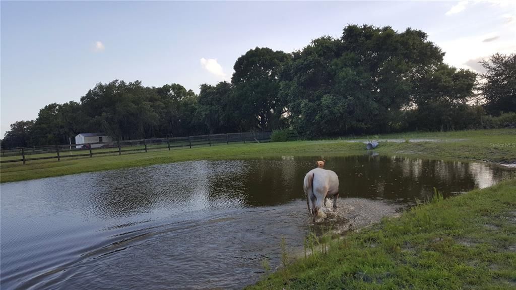 待售: $550,000 (4 贝兹, 3 浴室, 2464 平方英尺)