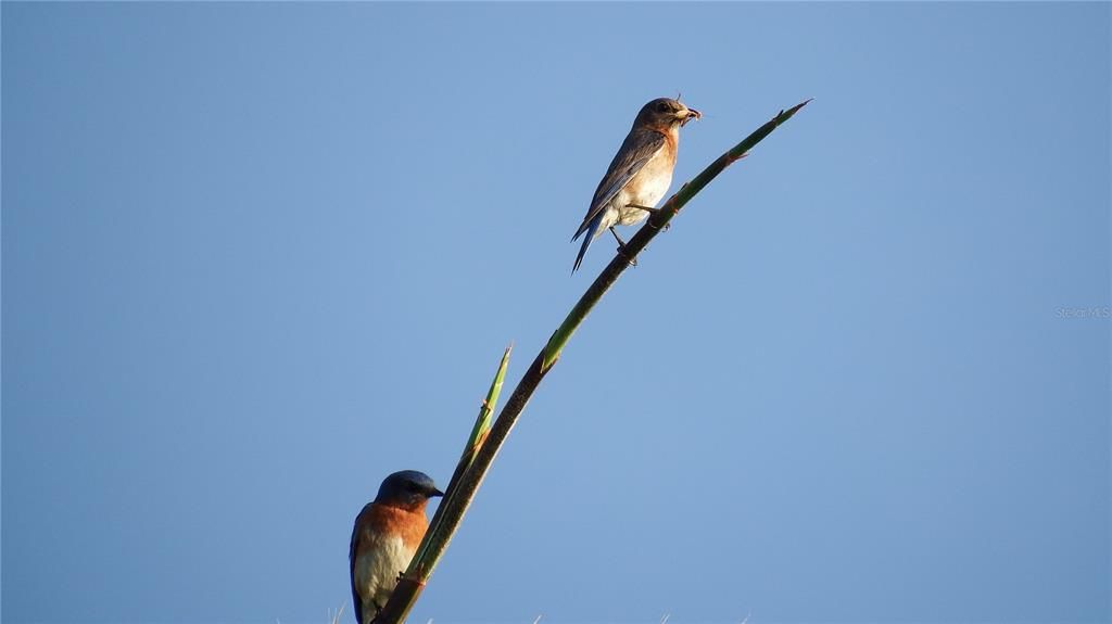 На продажу: $599,000 (4 спален, 3 ванн, 2394 Квадратных фут)