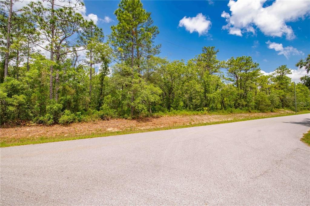 En Venta: $65,000 (1.00 acres)