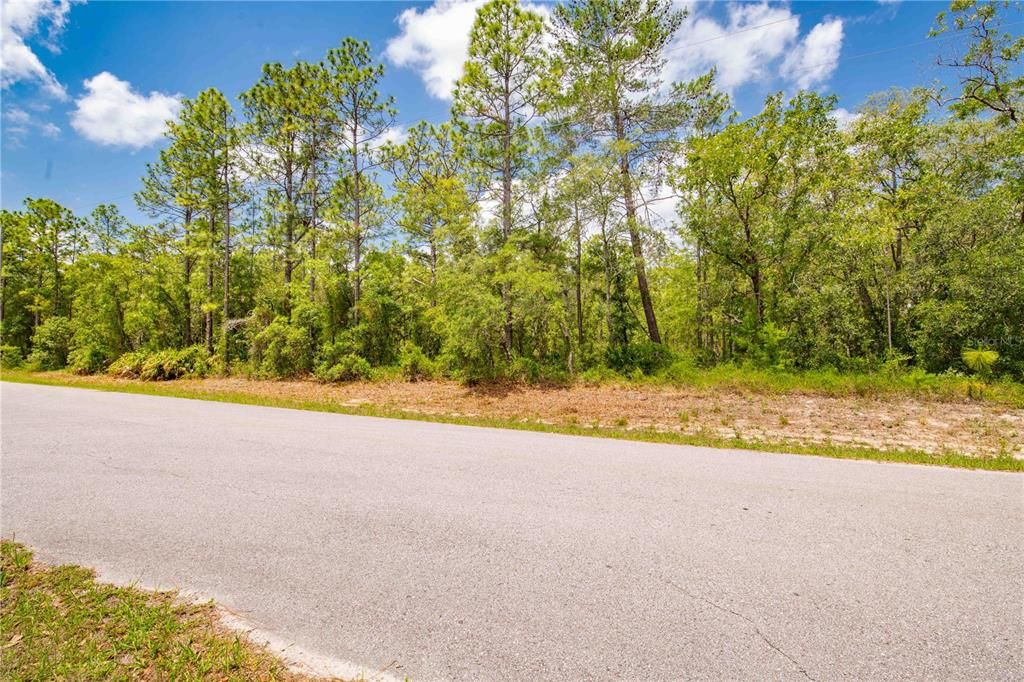 En Venta: $65,000 (1.00 acres)