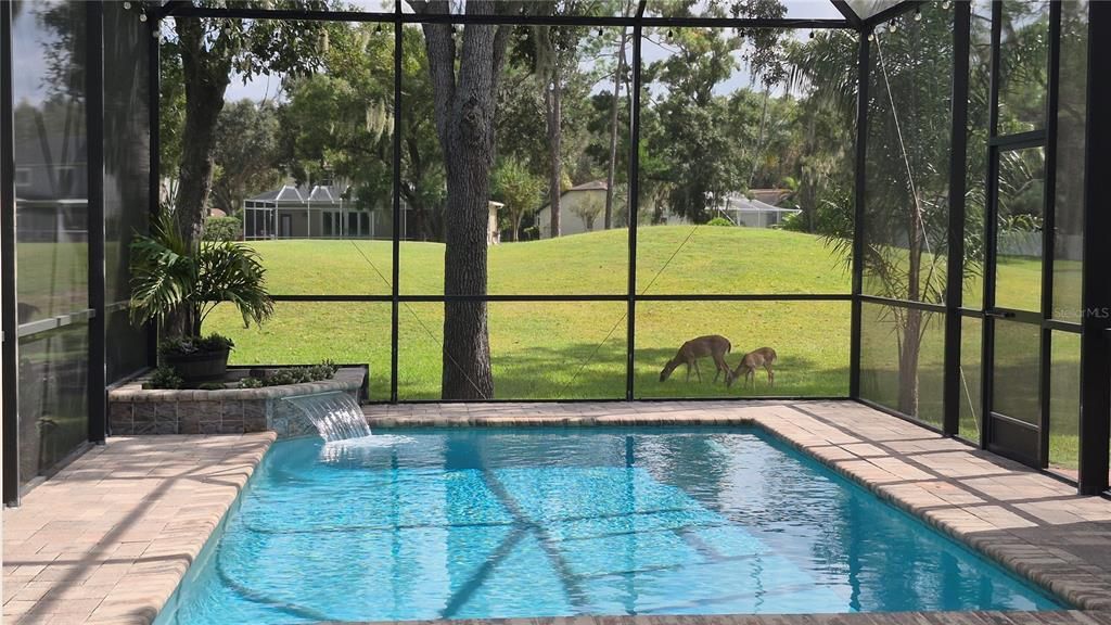 Activo con contrato: $699,000 (4 camas, 2 baños, 2540 Pies cuadrados)