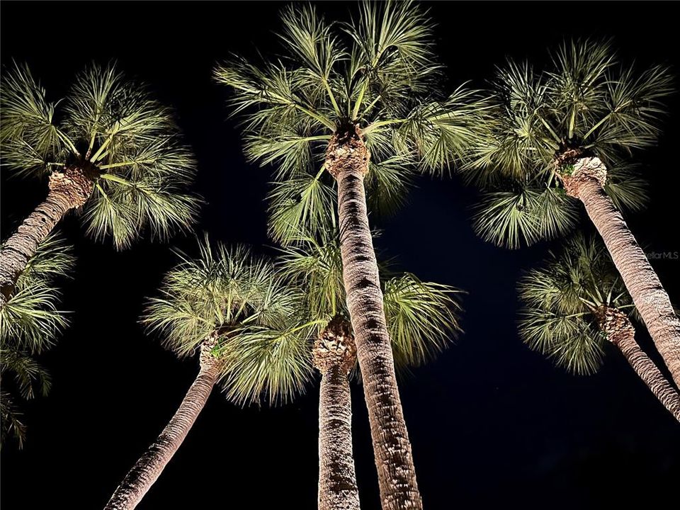 待售: $2,800,000 (4 贝兹, 3 浴室, 2748 平方英尺)