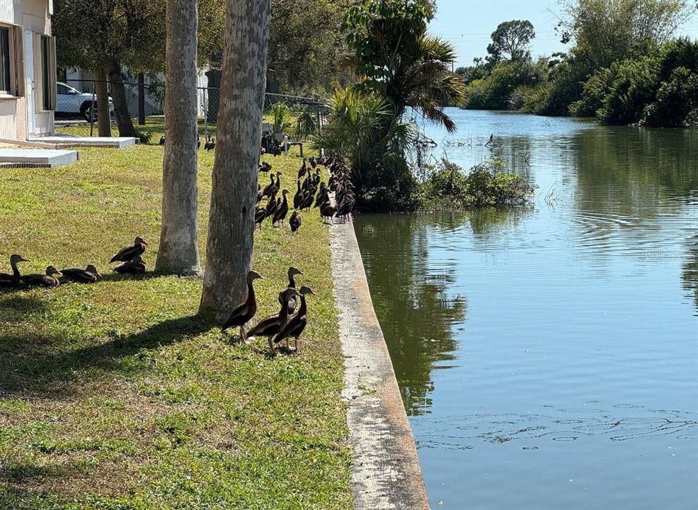 Под контрактом: $148,500 (2 спален, 2 ванн, 1240 Квадратных фут)