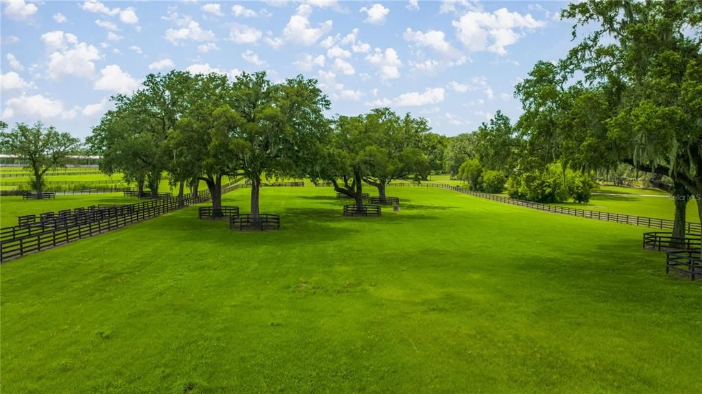 待售: $7,125,000 (95.69 acres)