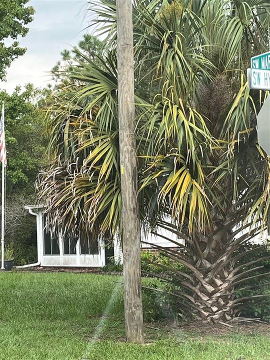 待售: $16,000 (0.26 acres)