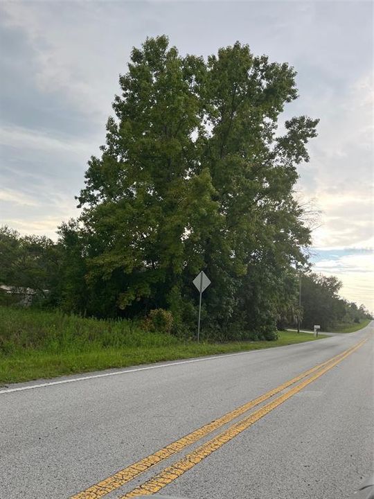 待售: $16,000 (0.26 acres)