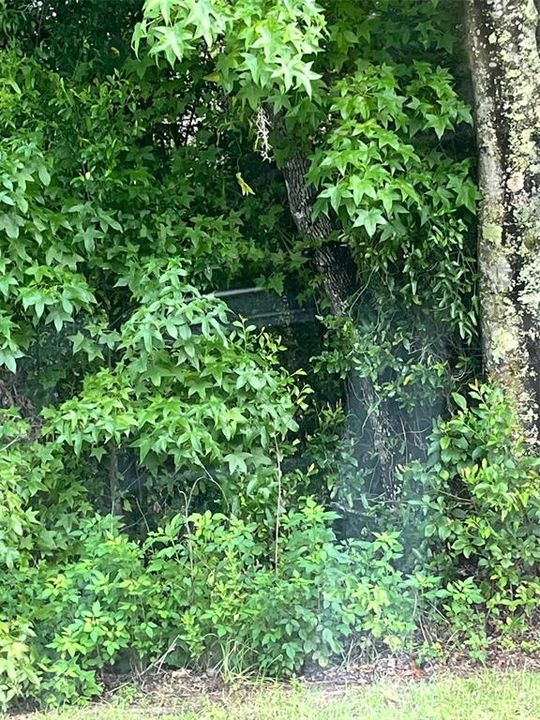 待售: $16,000 (0.26 acres)