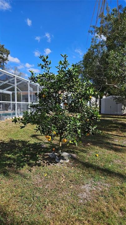 Activo con contrato: $215,000 (3 camas, 2 baños, 1698 Pies cuadrados)