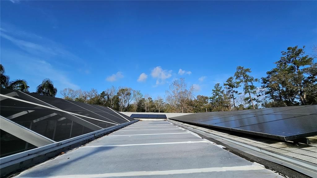 Activo con contrato: $215,000 (3 camas, 2 baños, 1698 Pies cuadrados)