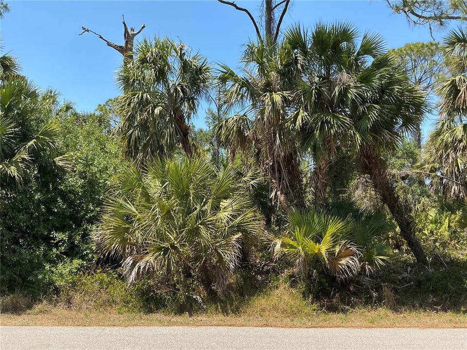 Recently Sold: $12,900 (0.32 acres)