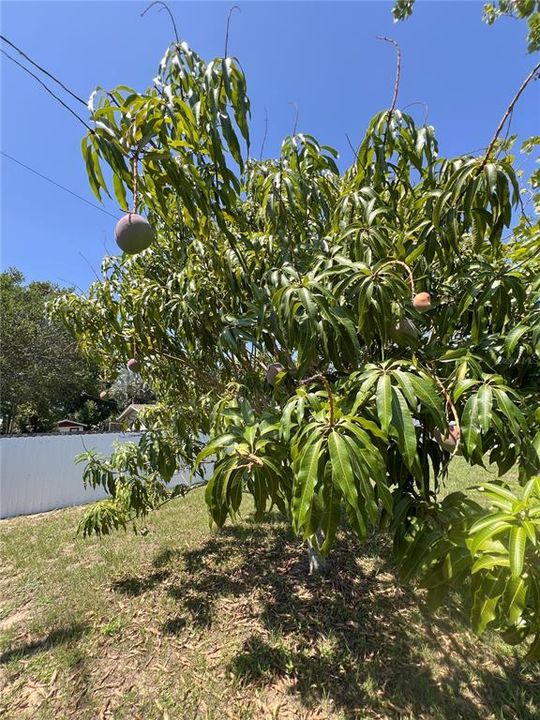 Active With Contract: $250,000 (3 beds, 2 baths, 1962 Square Feet)