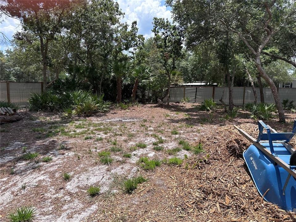 More back yard