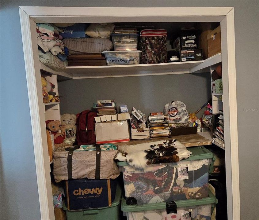 The guest bedroom’s dual purposed closet with a huge built in desk.