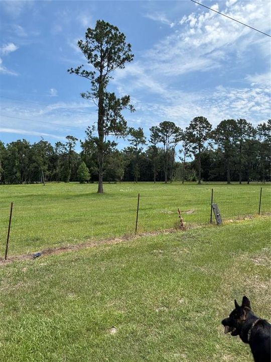 For Sale: $689,000 (2 beds, 2 baths, 1216 Square Feet)