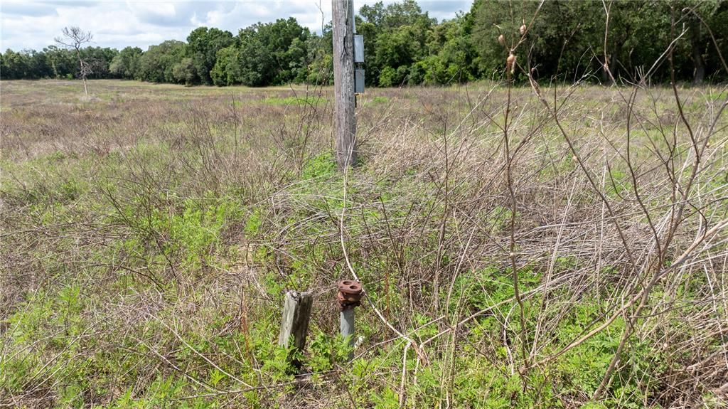 For Sale: $700,000 (40.00 acres)