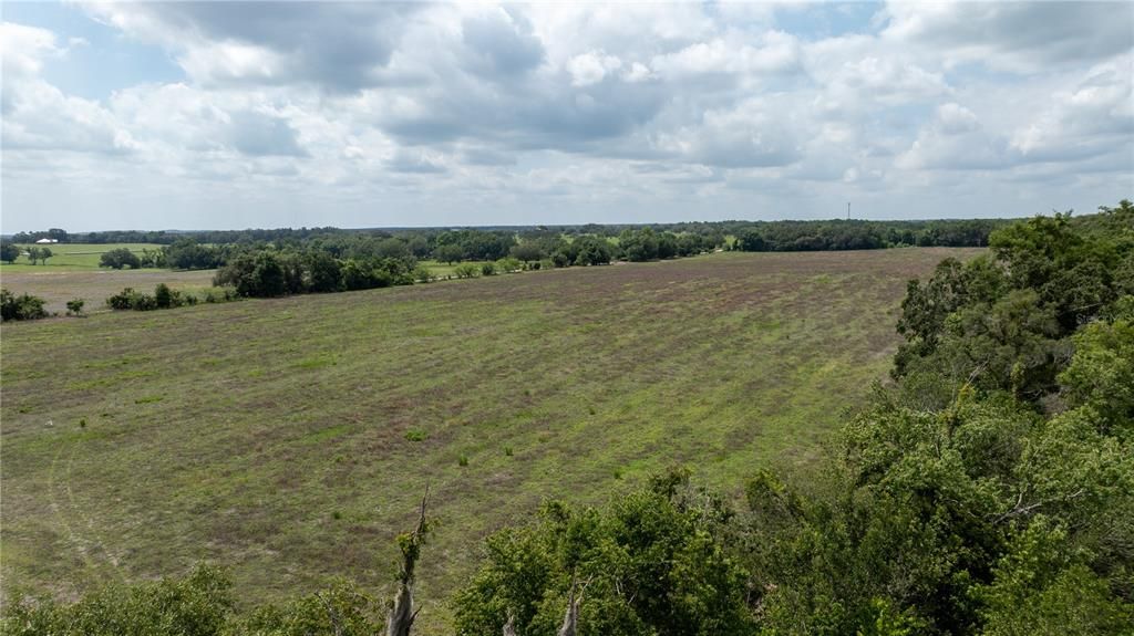 For Sale: $700,000 (40.00 acres)