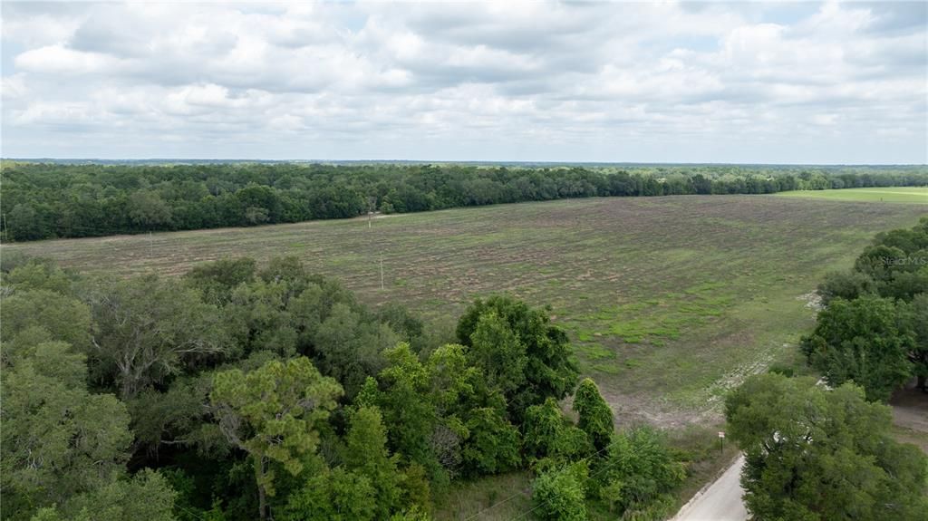 For Sale: $700,000 (40.00 acres)