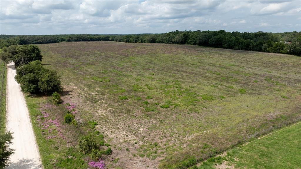 For Sale: $700,000 (40.00 acres)