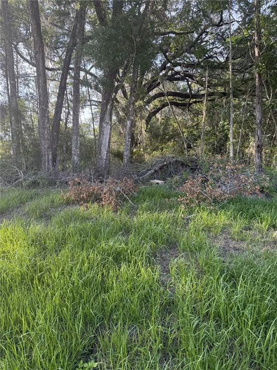 For Sale: $140,000 (1.02 acres)