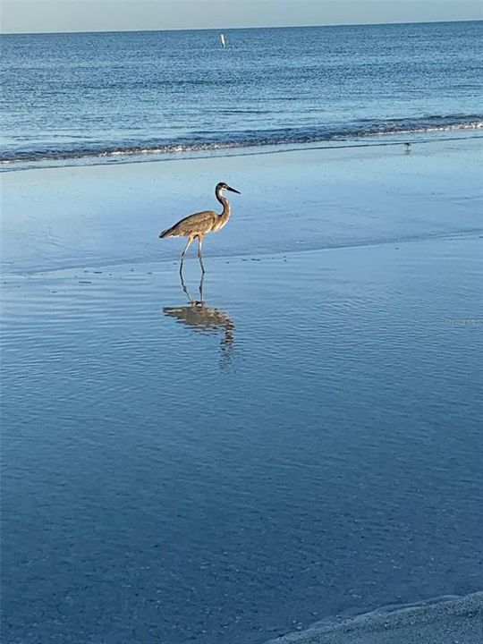 На продажу: $450,000 (2 спален, 2 ванн, 1565 Квадратных фут)