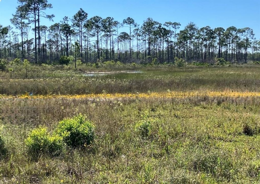 Activo con contrato: $50,000 (0.23 acres)