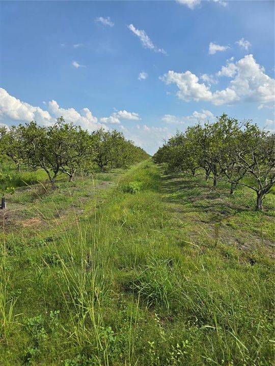 Recently Sold: $85,000 (10.00 acres)