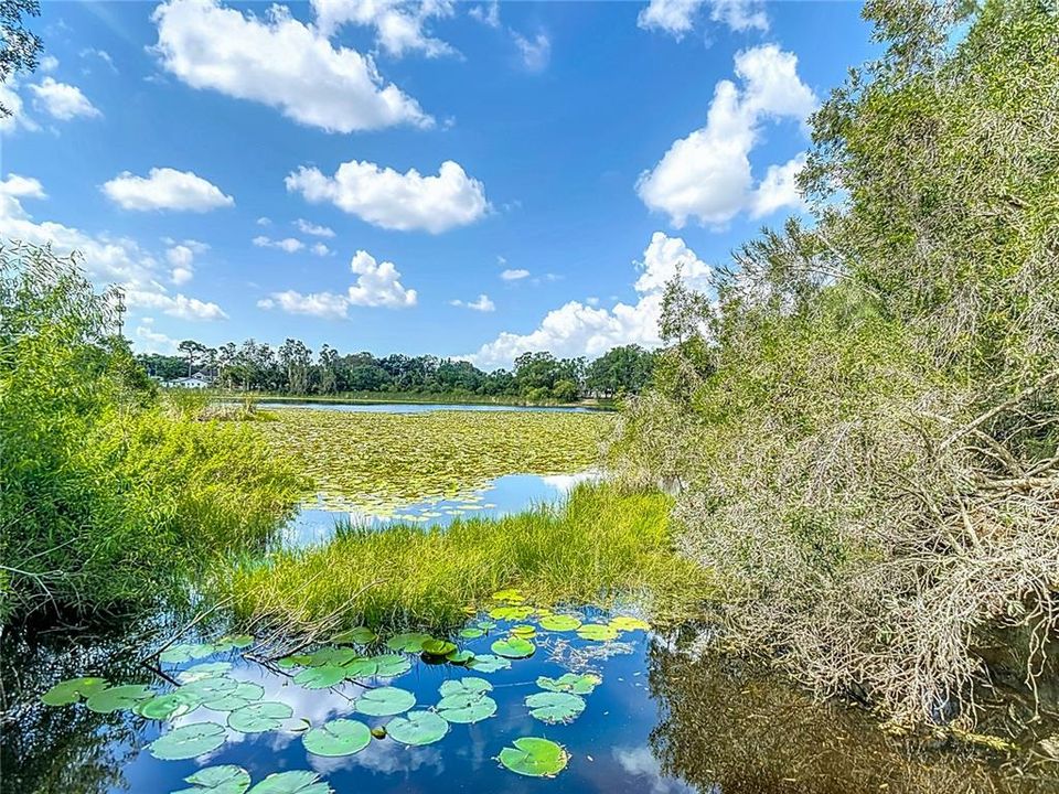 Active With Contract: $695,000 (3 beds, 2 baths, 2217 Square Feet)