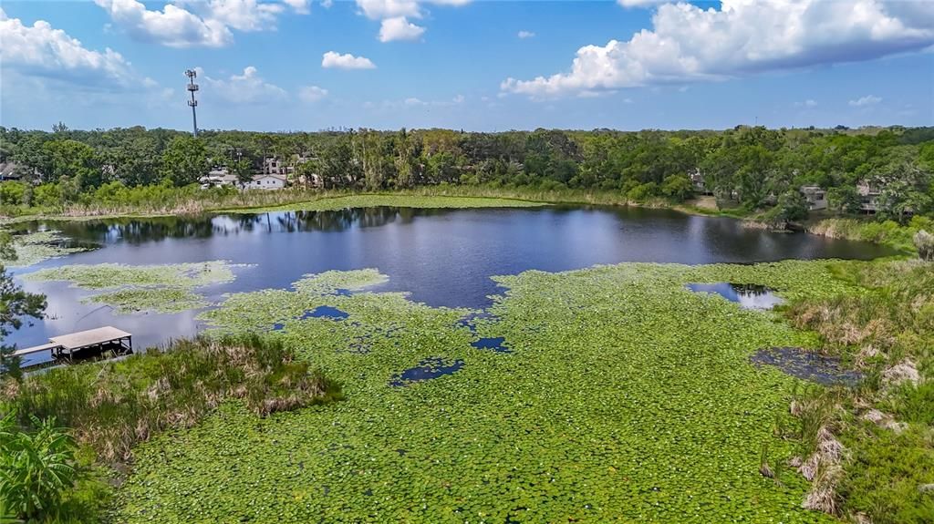 Active With Contract: $695,000 (3 beds, 2 baths, 2217 Square Feet)