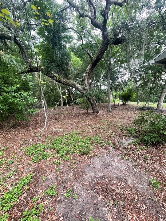 Под контрактом: $219,999 (2 спален, 1 ванн, 933 Квадратных фут)