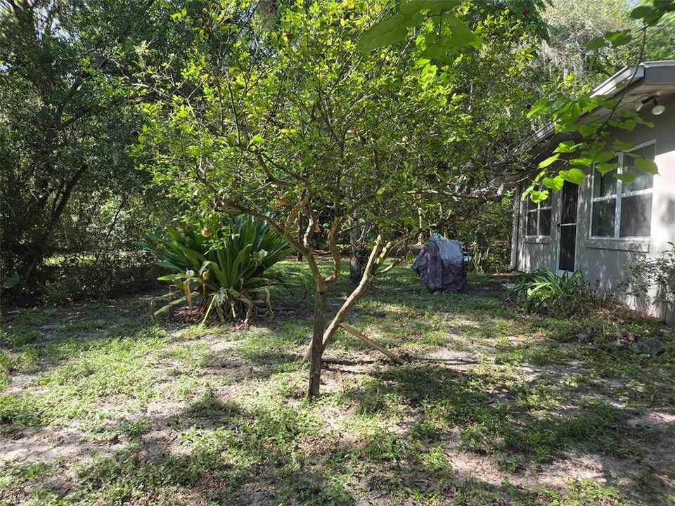 Под контрактом: $219,999 (2 спален, 1 ванн, 933 Квадратных фут)