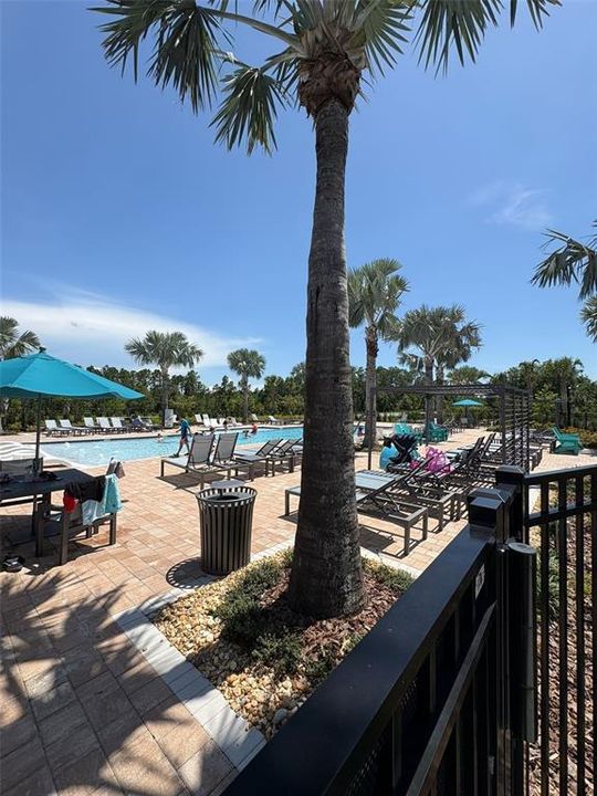 Active With Contract: $2,600 (4 beds, 3 baths, 2385 Square Feet)