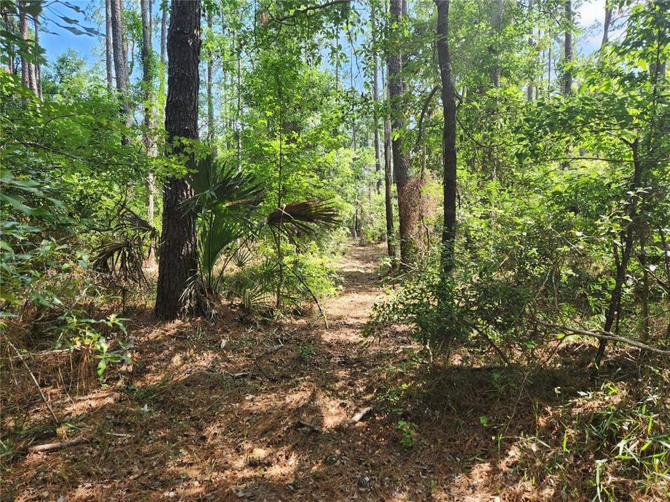 For Sale: $279,000 (9.00 acres)