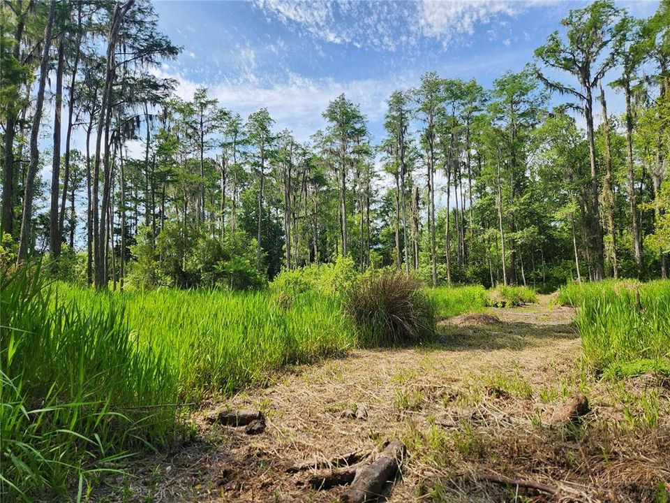 For Sale: $279,000 (9.00 acres)