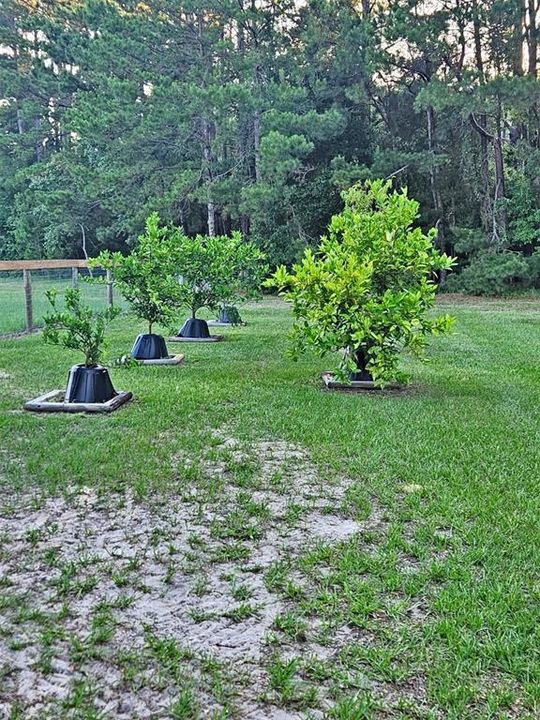 For Sale: $279,000 (9.00 acres)