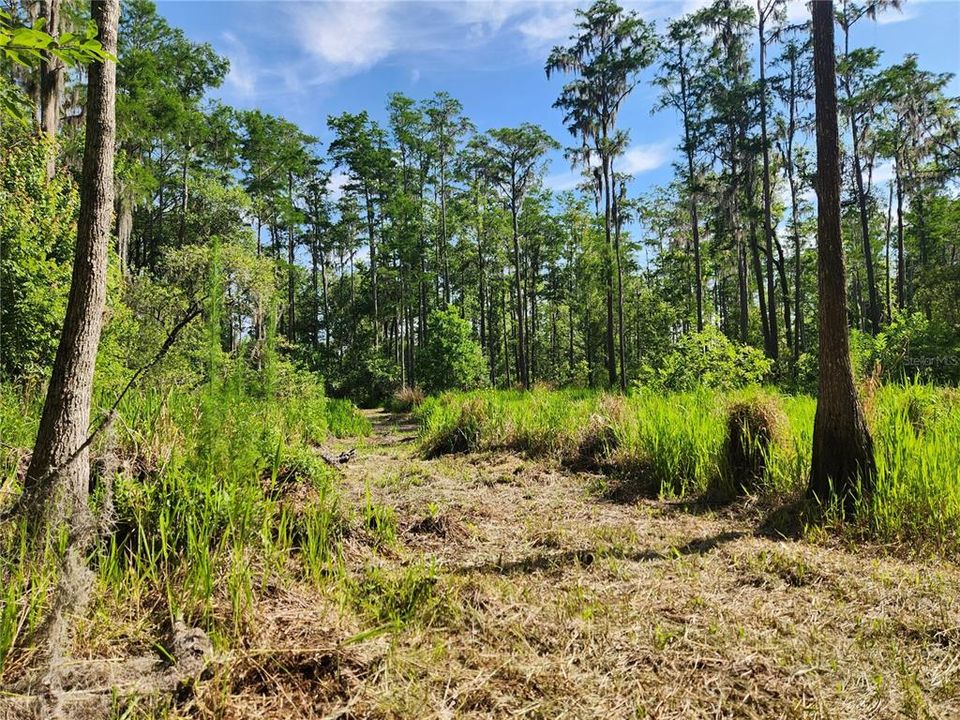 For Sale: $279,000 (9.00 acres)