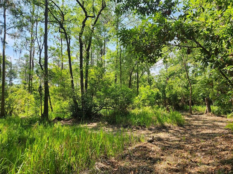 For Sale: $279,000 (9.00 acres)