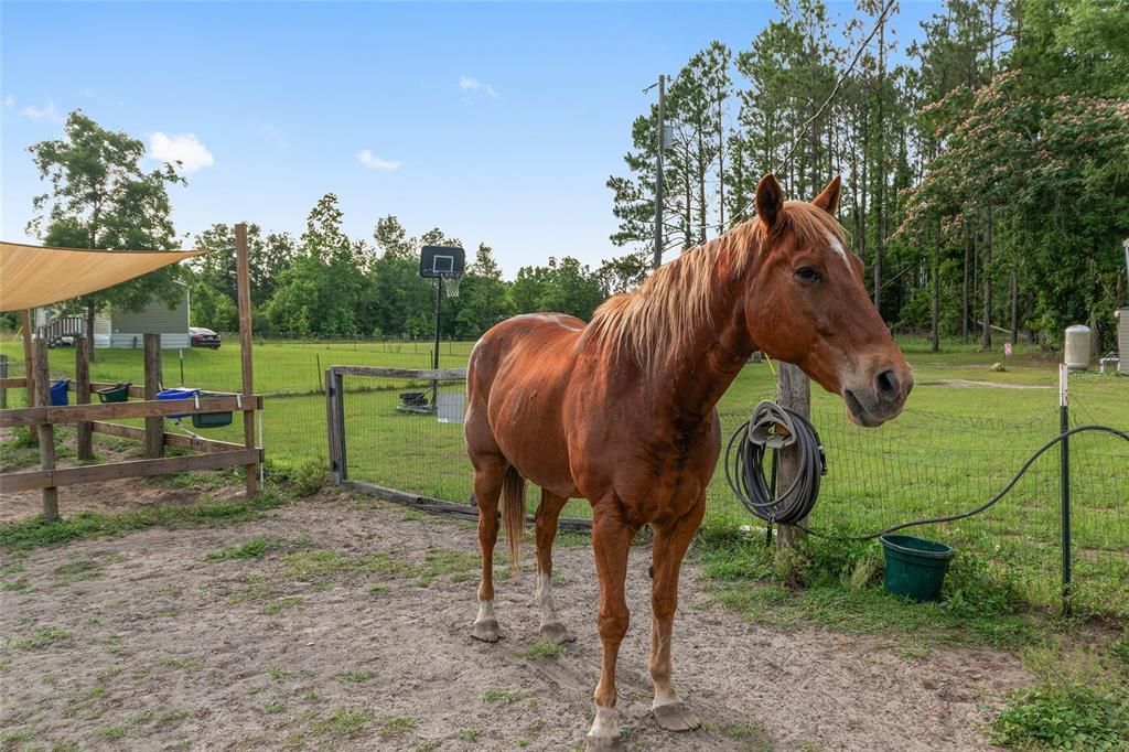 На продажу: $299,000 (4 спален, 2 ванн, 2186 Квадратных фут)