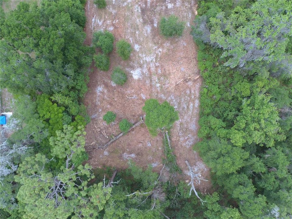 En Venta: $50,000 (0.25 acres)