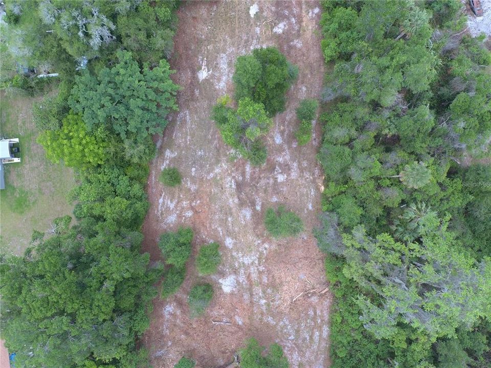 En Venta: $50,000 (0.25 acres)