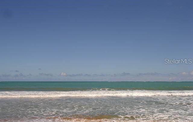 出租: $2,850 (2 贝兹, 2 浴室, 1085 平方英尺)