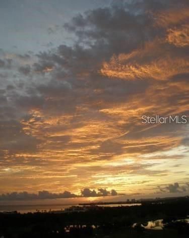 出租: $2,850 (2 贝兹, 2 浴室, 1085 平方英尺)