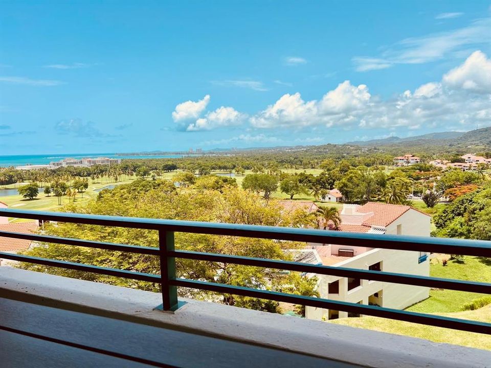 出租: $2,850 (2 贝兹, 2 浴室, 1085 平方英尺)