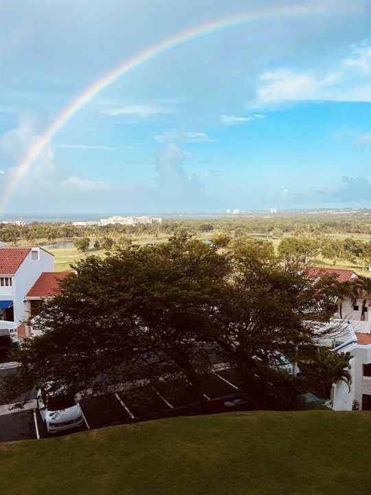 出租: $2,850 (2 贝兹, 2 浴室, 1085 平方英尺)