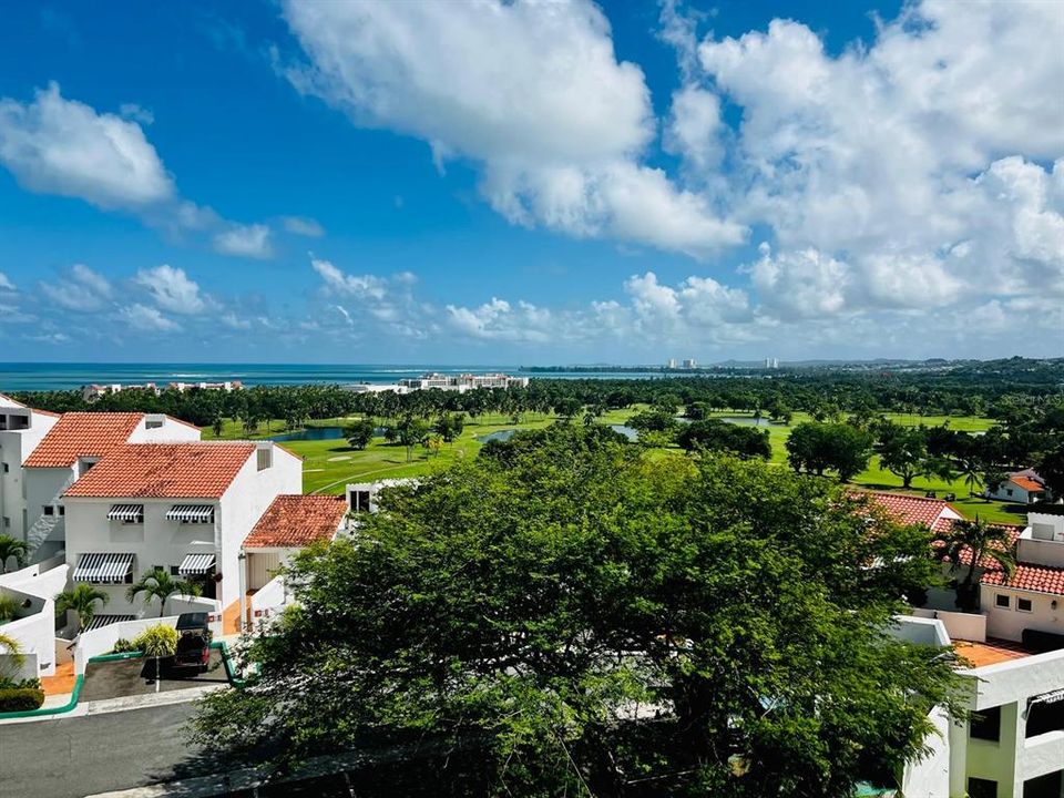 出租: $2,850 (2 贝兹, 2 浴室, 1085 平方英尺)