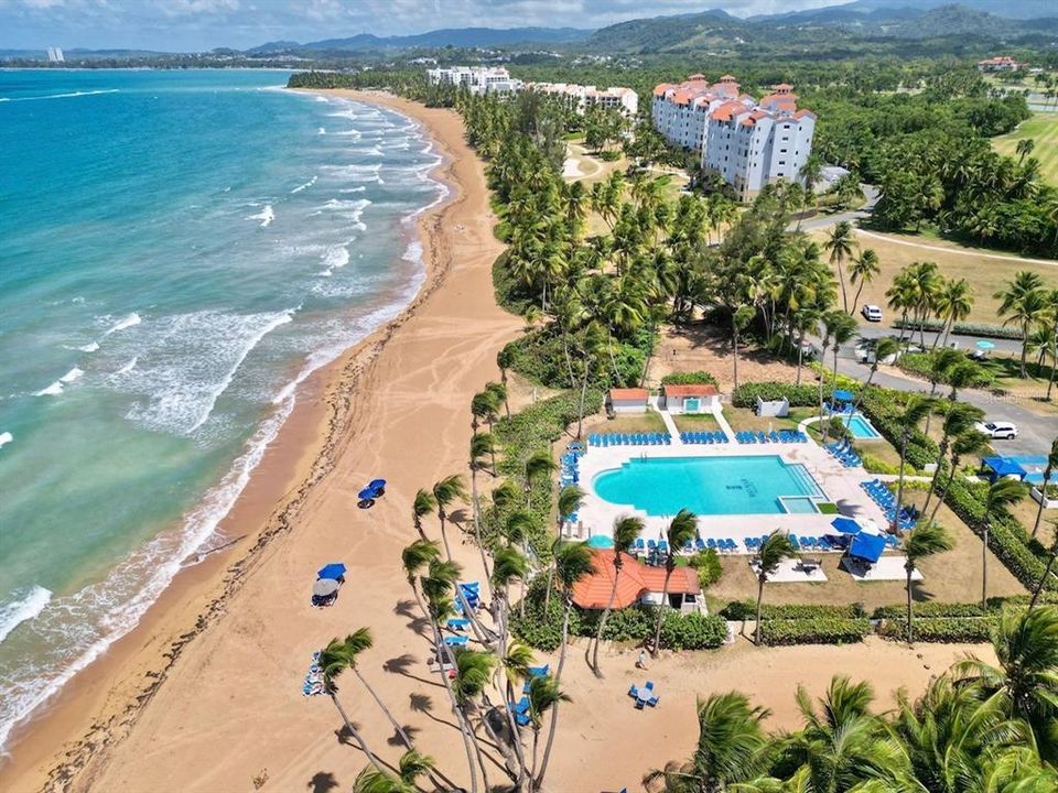 出租: $2,850 (2 贝兹, 2 浴室, 1085 平方英尺)