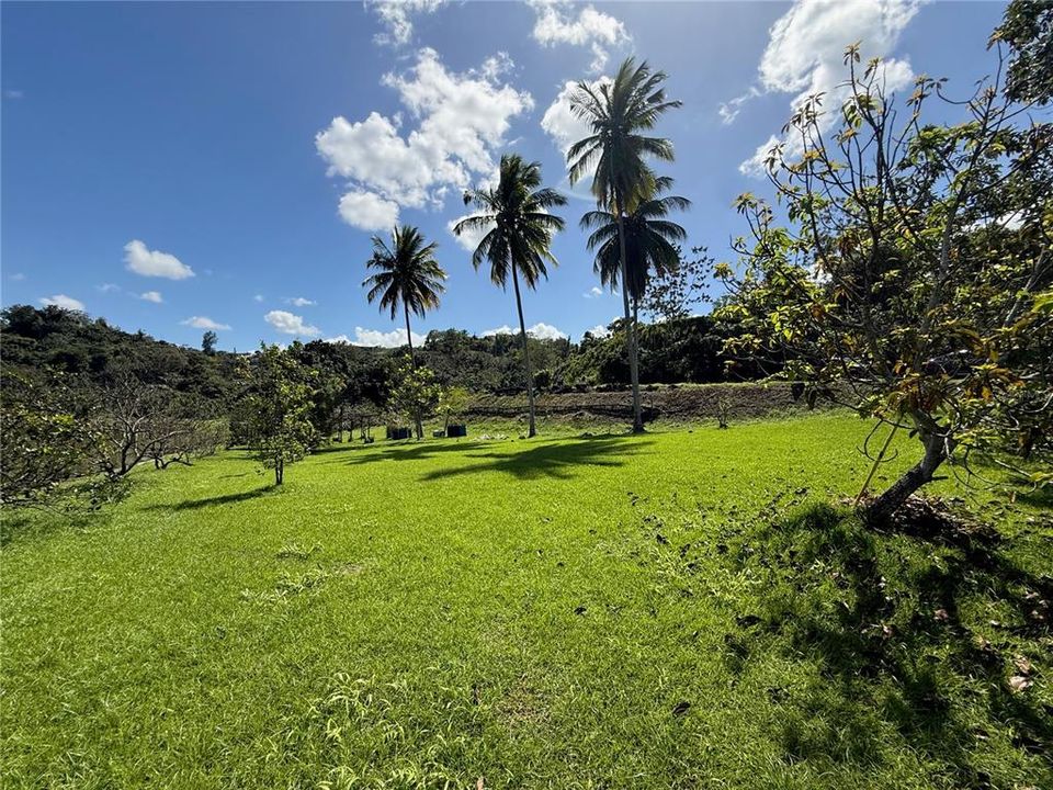 待售: $245,000 (1.48 acres)