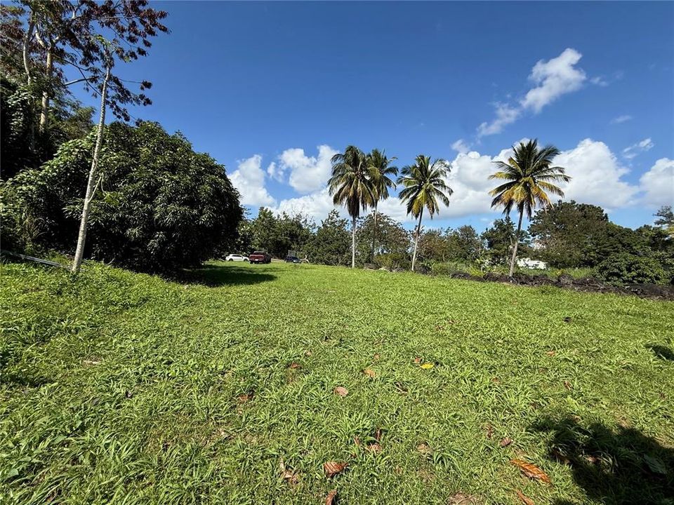 待售: $245,000 (1.48 acres)
