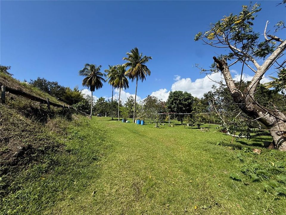 待售: $245,000 (1.48 acres)